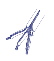 Timeline Mobile Image 13