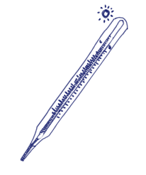 Timeline Mobile Image 14