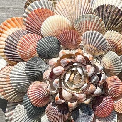 Seashell Glue
